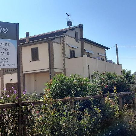 Agriturismo Il Vecchio Olivo Castagneto Carducci Zewnętrze zdjęcie
