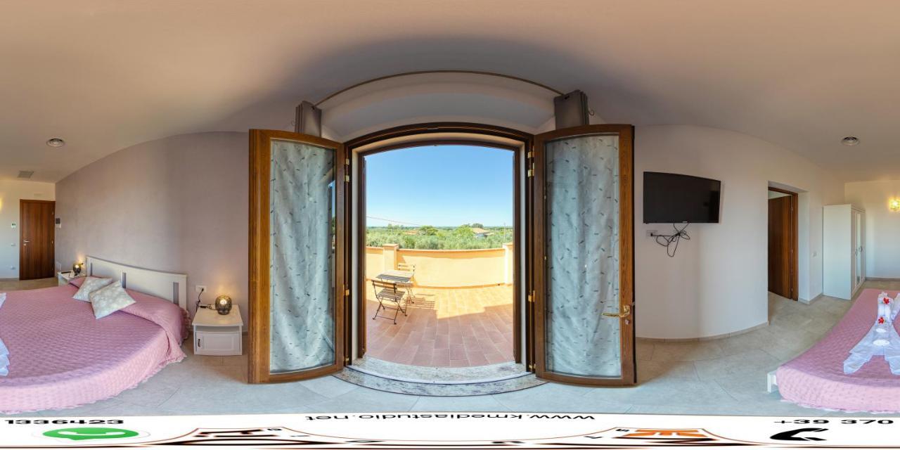 Agriturismo Il Vecchio Olivo Castagneto Carducci Zewnętrze zdjęcie