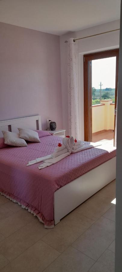 Agriturismo Il Vecchio Olivo Castagneto Carducci Zewnętrze zdjęcie