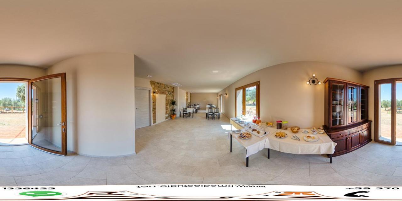 Agriturismo Il Vecchio Olivo Castagneto Carducci Zewnętrze zdjęcie