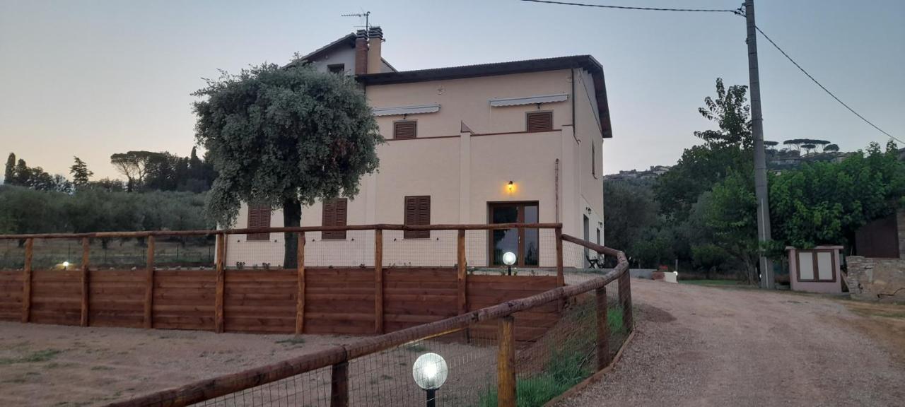 Agriturismo Il Vecchio Olivo Castagneto Carducci Zewnętrze zdjęcie