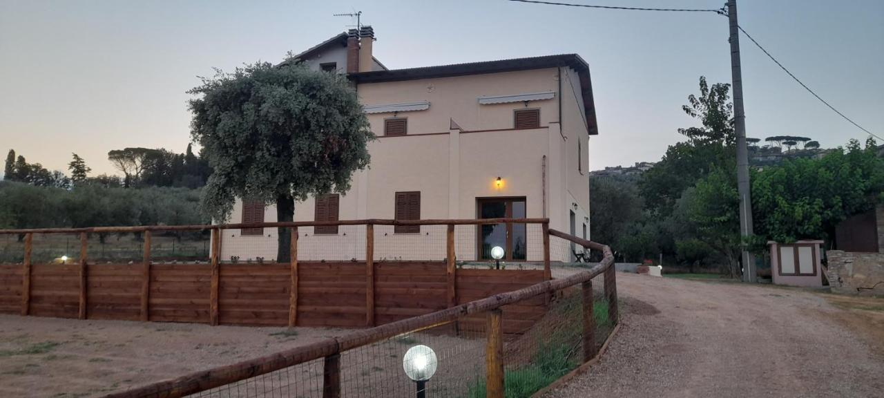 Willa Agriturismo Il Vecchio Olivo Castagneto Carducci Zewnętrze zdjęcie