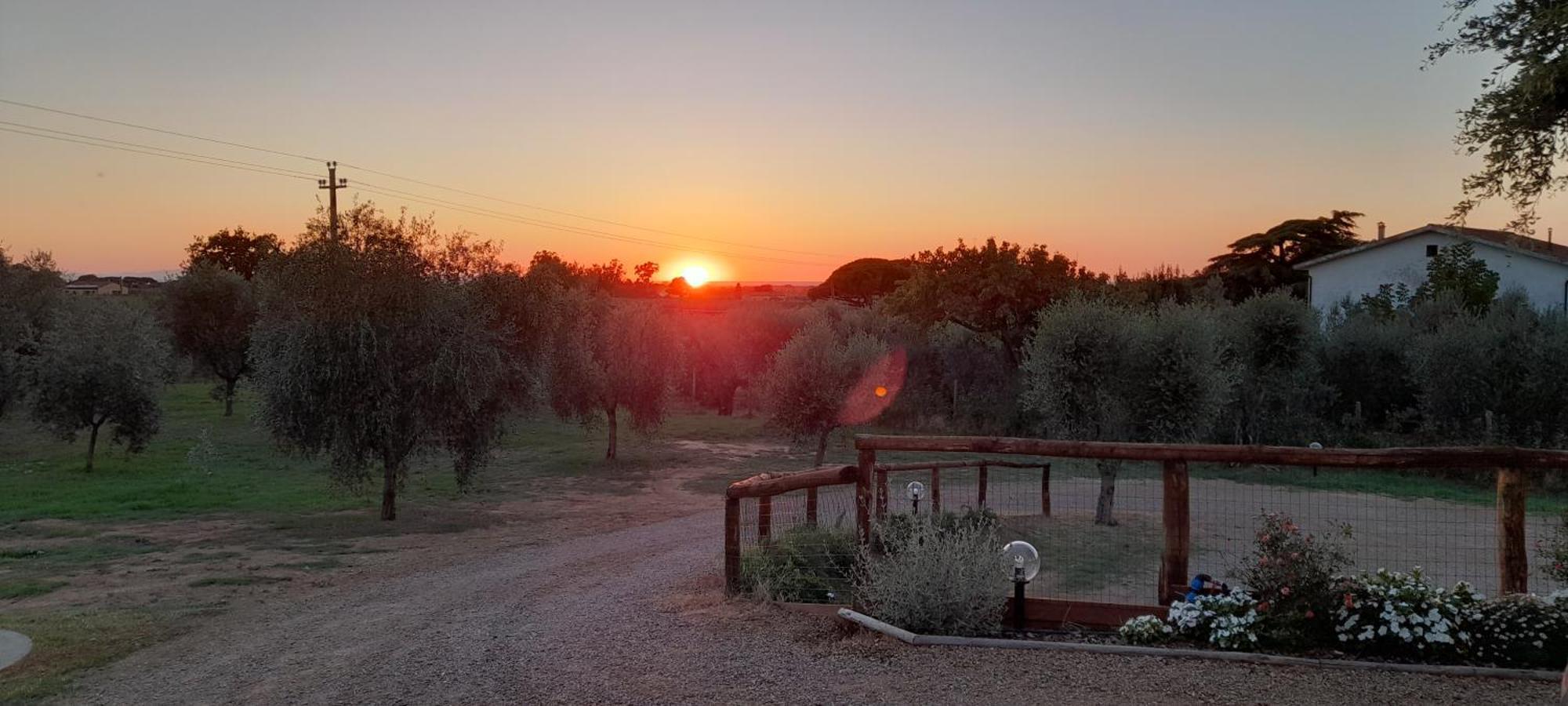 Willa Agriturismo Il Vecchio Olivo Castagneto Carducci Zewnętrze zdjęcie